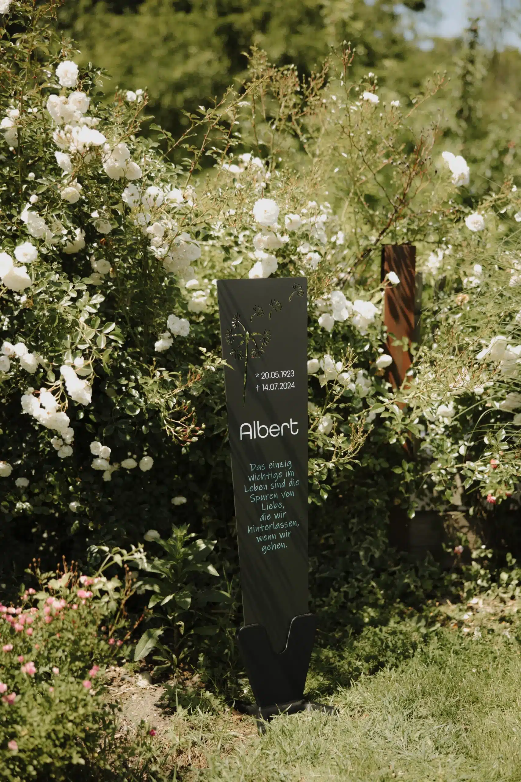 Individuelles Gedenkzeichen in Anthrazit mit Pusteblumen-Motiv und persönlicher Widmung – handgefertigt von kreatiefe, aufgestellt vor weiß blühenden Rosen im Sommergarten